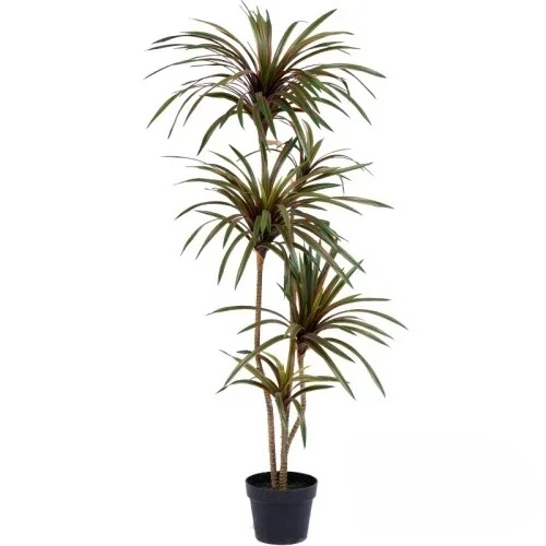 Dracaena Marginata - Sztuczne drzewko Dracaena Marginata, zielona roślina