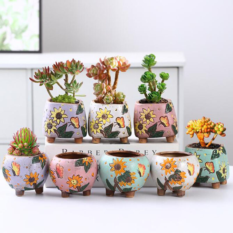 Donica na sukulenty w stylu ko – Echeveria Succulent recenzja i cena