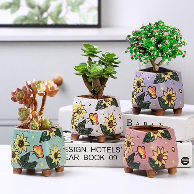 Donica na sukulenty w stylu ko – Echeveria Succulent recenzja i cena