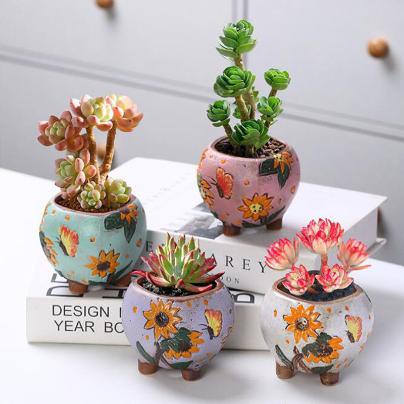 Donica na sukulenty w stylu ko – Echeveria Succulent recenzja i cena