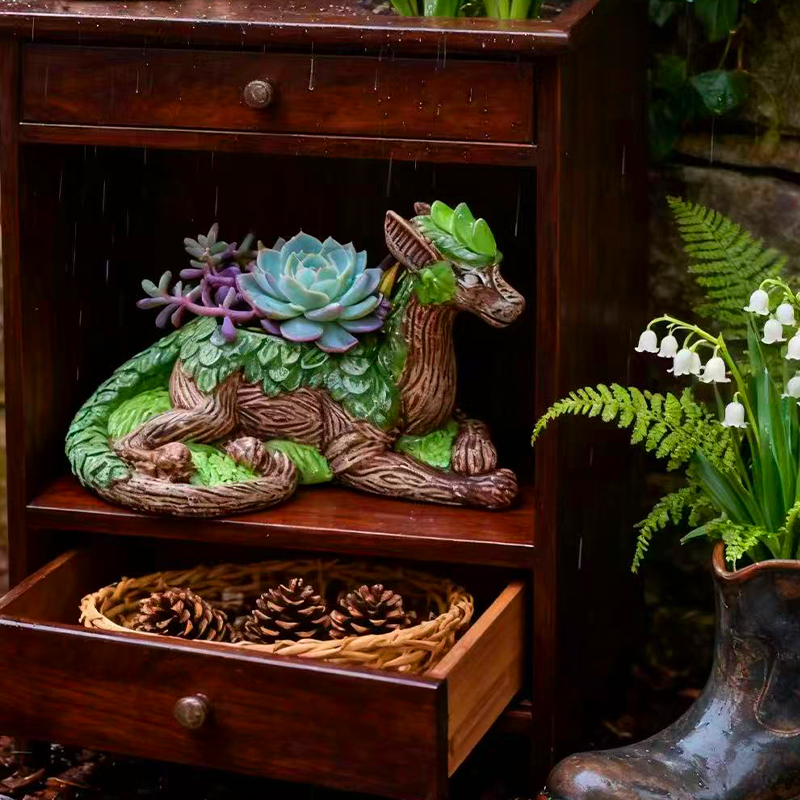 Kreatywna doniczka w kształcie – Echeveria Succulent recenzja i cena