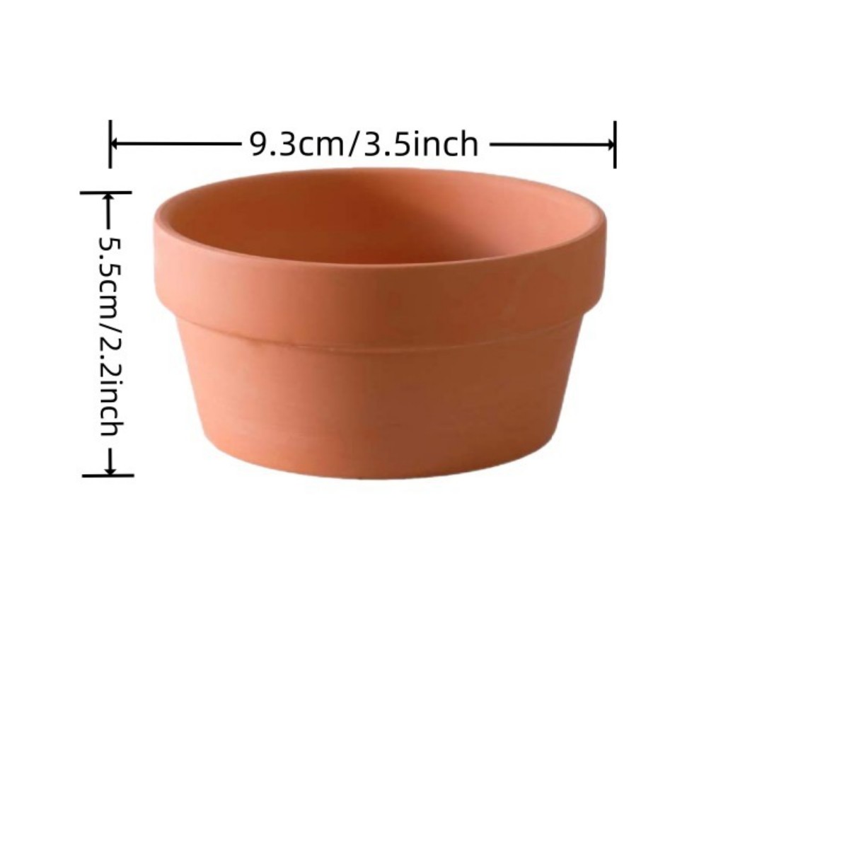 6 szt. Doniczki z terakoty Bul – Echeveria Succulent recenzja i cena