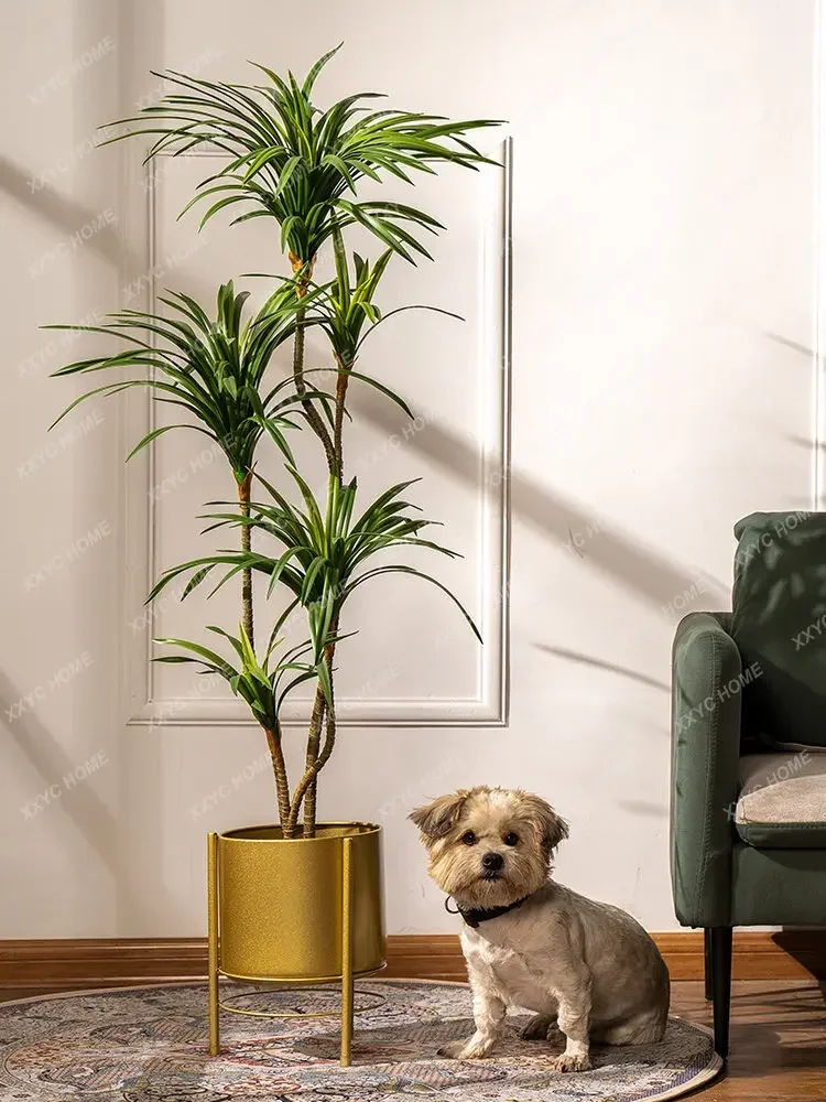 Sztuczne drzewko Dracaena Marg – Dracaena Marginata recenzja i cena