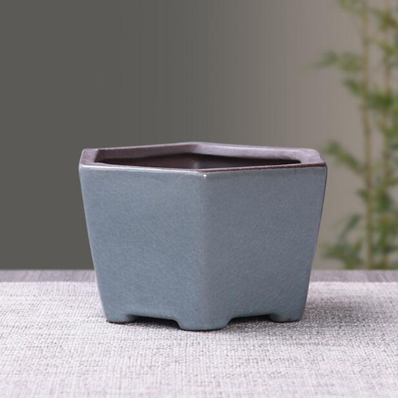 Retro ceramiczna doniczka na k – Echeveria Succulent recenzja i cena