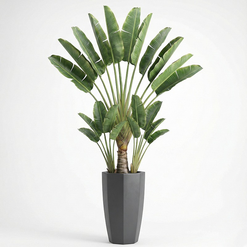 Wysokiej jakości plastikowy sz – Ficus Lyrata Tree recenzja i cena