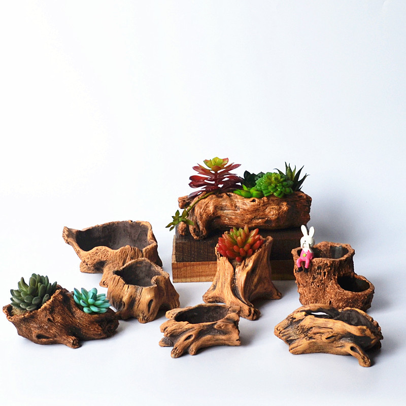 Imitacja drewnianych palików k – Echeveria Succulent recenzja i cena