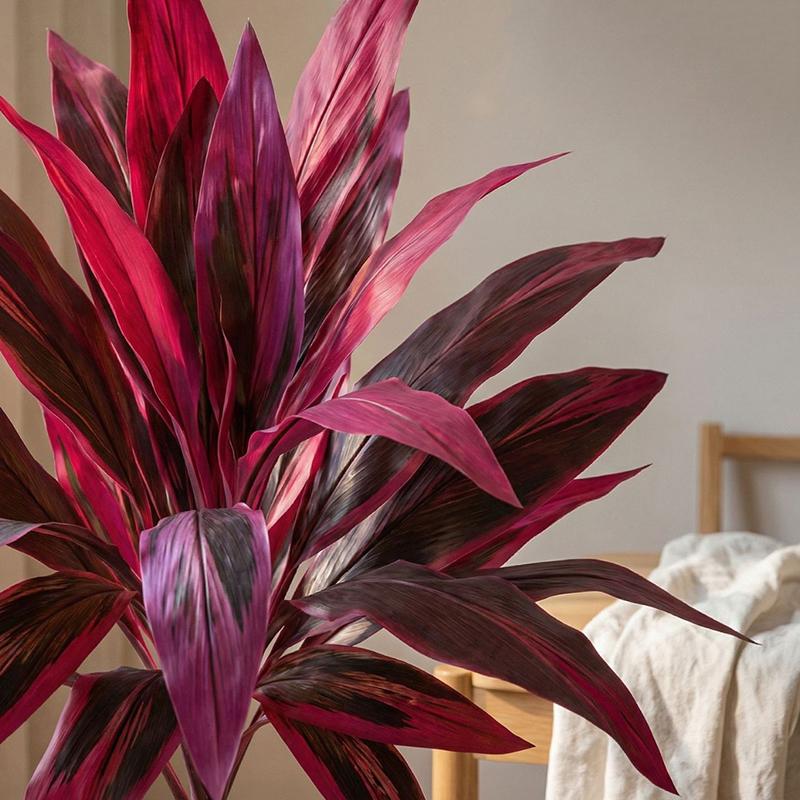 Duży sztuczny drzewko dracena  – Dracaena Marginata recenzja i cena
