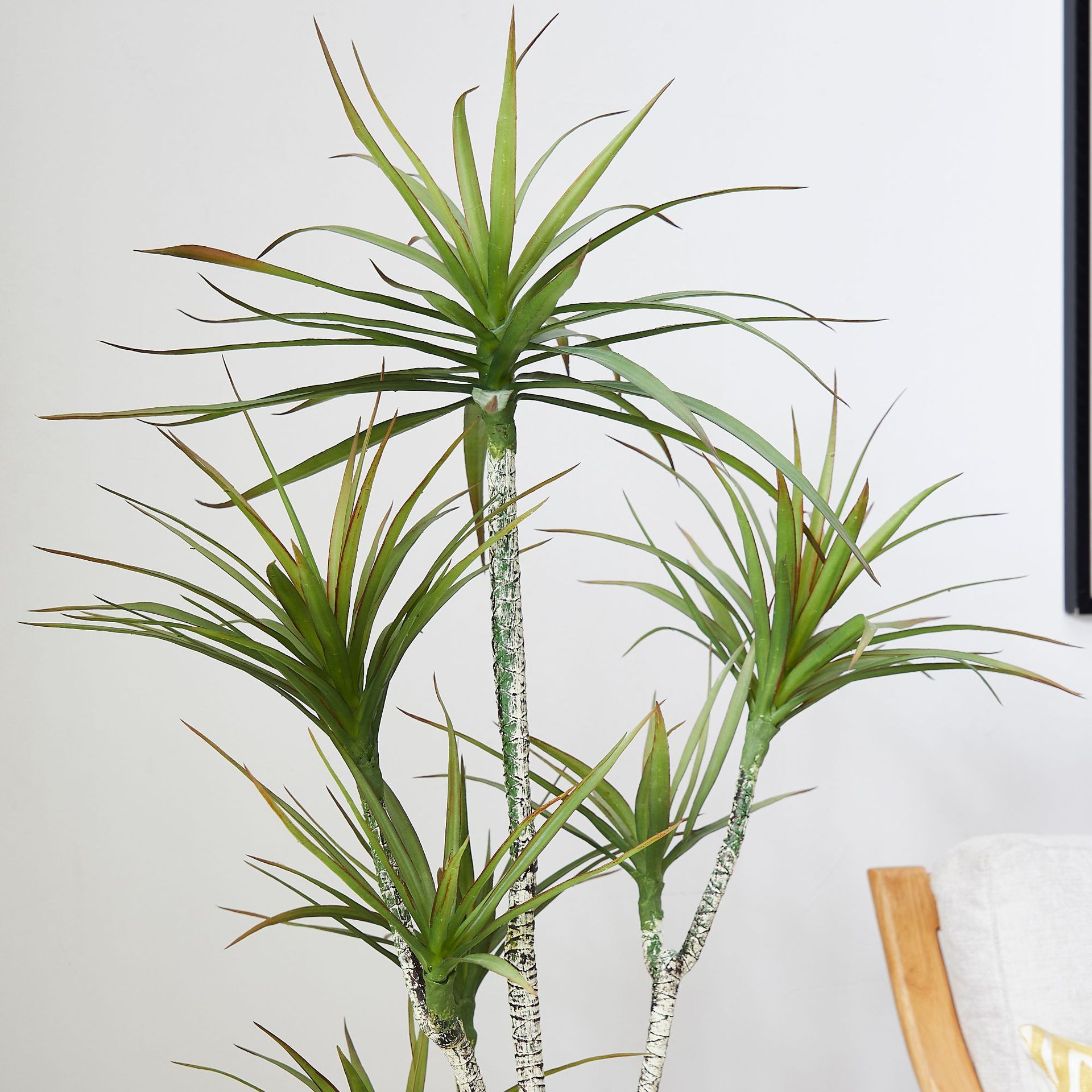Sztuczna roślina w doniczce z  – Dracaena Marginata recenzja i cena